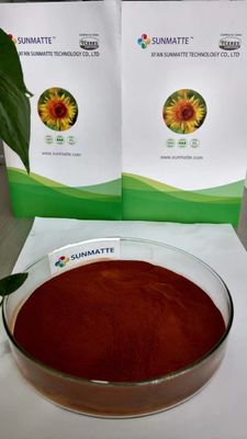 100% Soluble Seaweed Extract Derived from Ascophyllum Nodosum for Your Customer Requirements